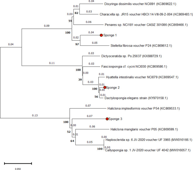 Figure 2