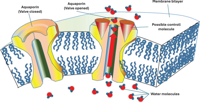 Figure 10