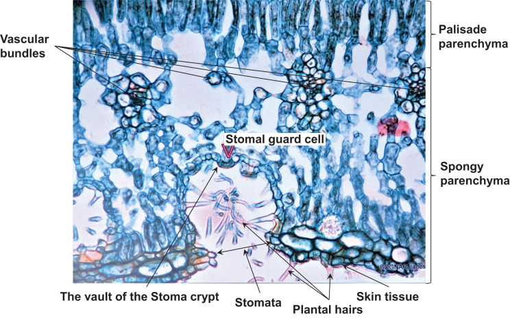 Figure 14
