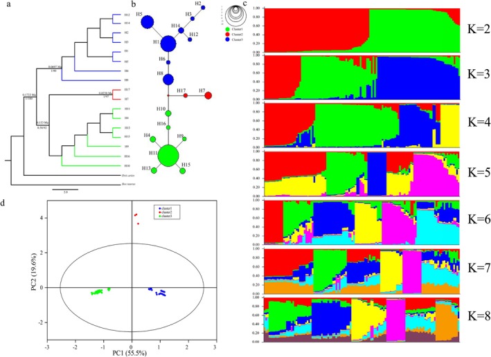 FIGURE 3