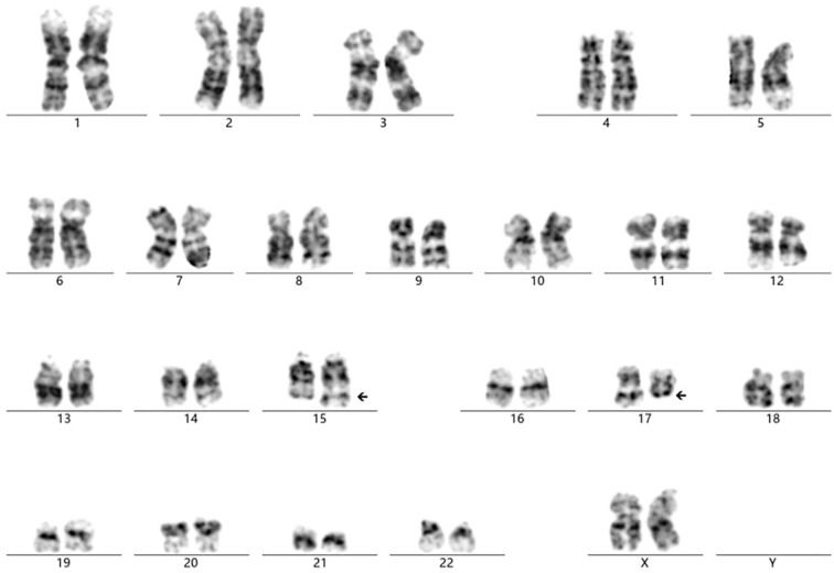 Figure 4