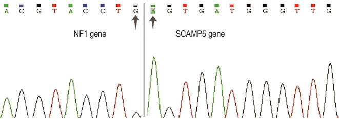 Figure 6