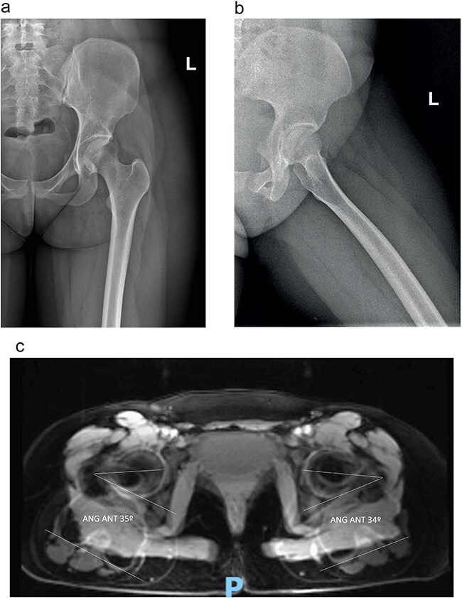 Figure 2