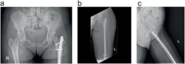 Figure 4