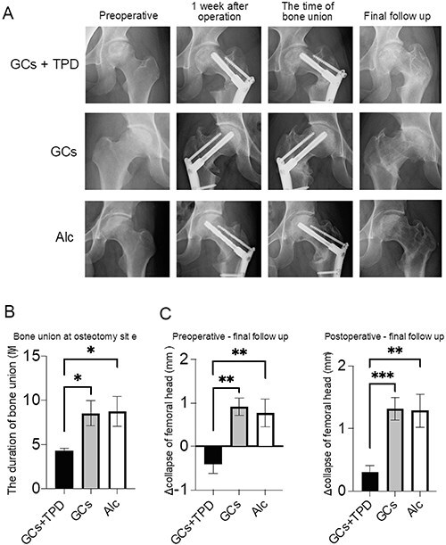 Figure 3