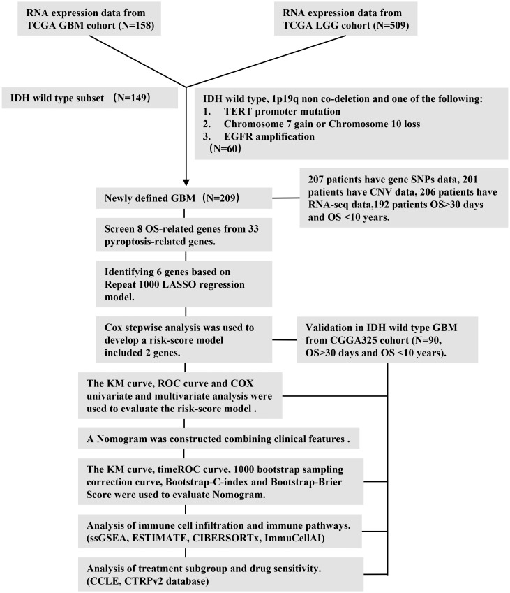 Figure 1