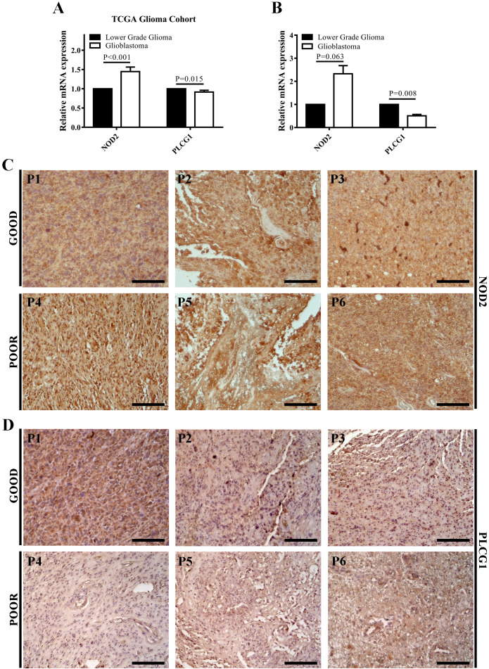 Figure 4