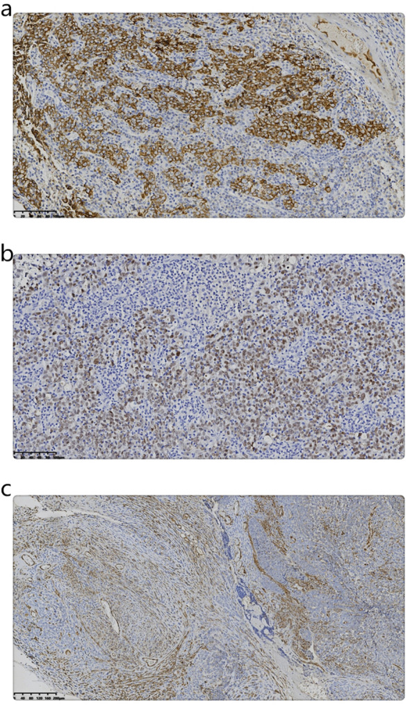 Figure 3
