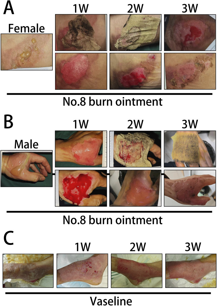FIGURE 3