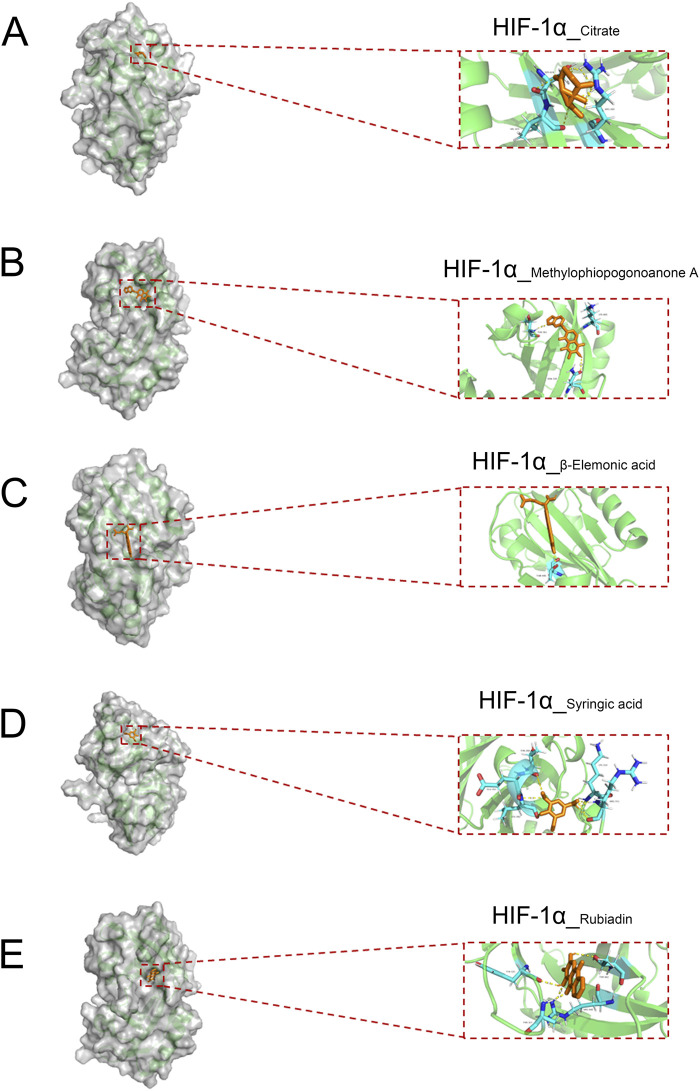 FIGURE 6