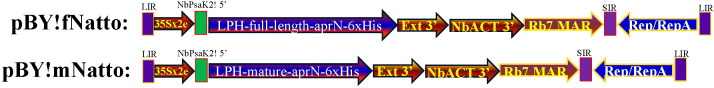 Figure 1