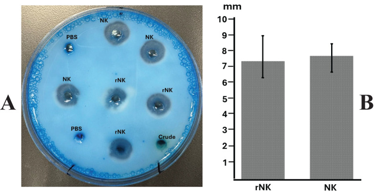 Figure 5