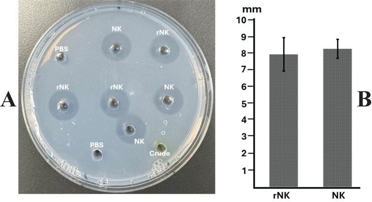 Figure 6