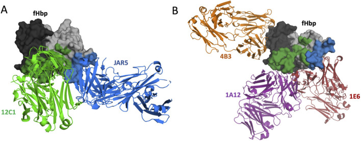 FIGURE 1