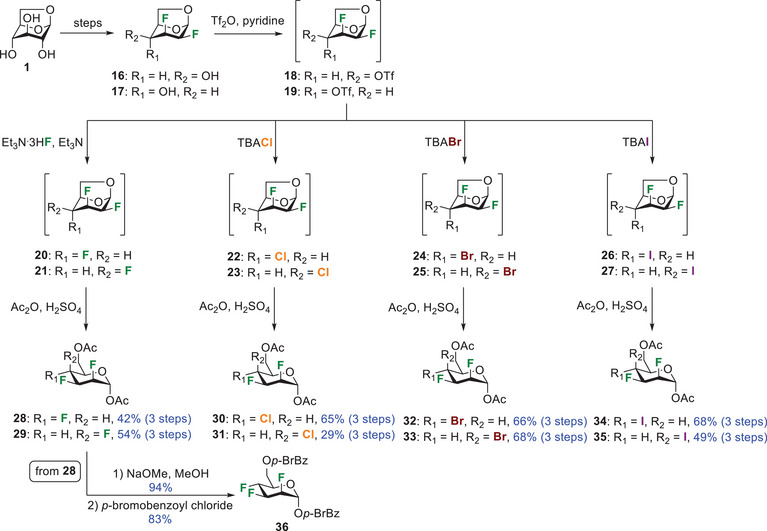 Scheme 2