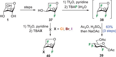 Scheme 3