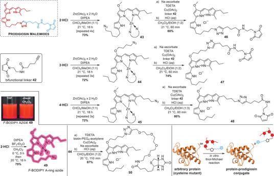 Scheme 6