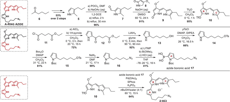 Scheme 3
