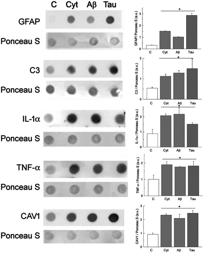 Fig. 6