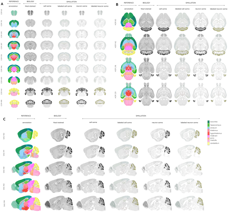 Fig. 10