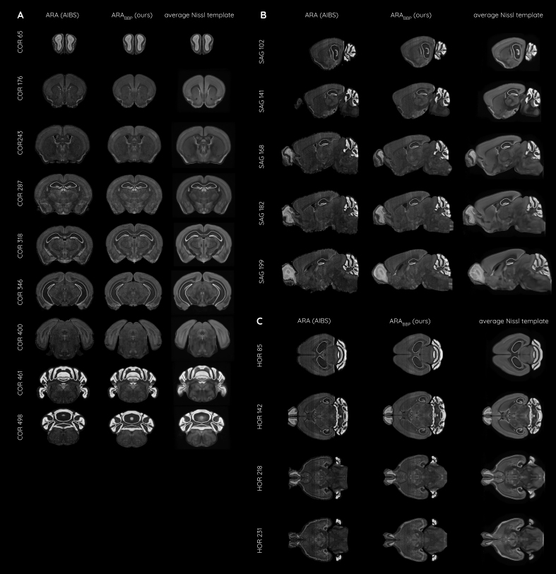 Fig. 8