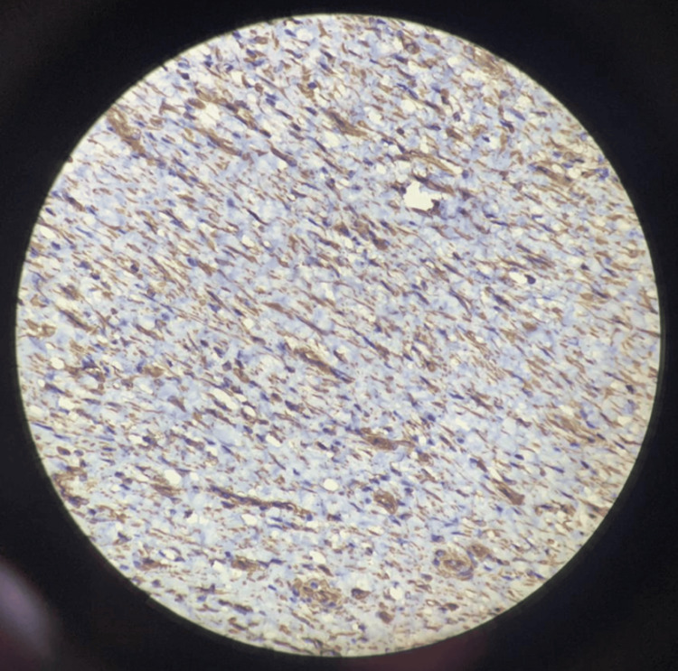 Figure 8
