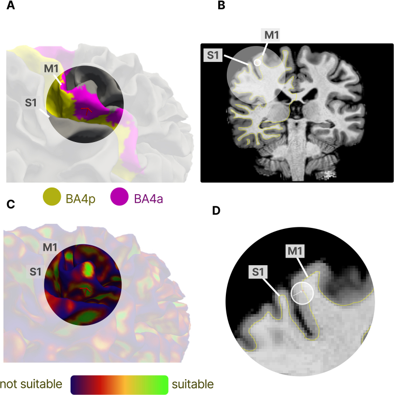 Fig. 3