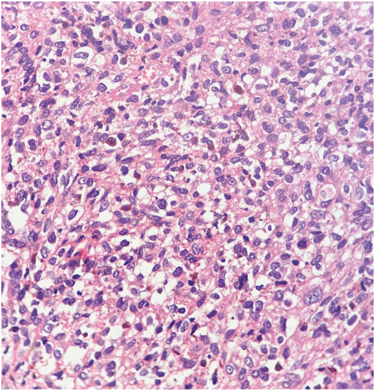 Figure 5