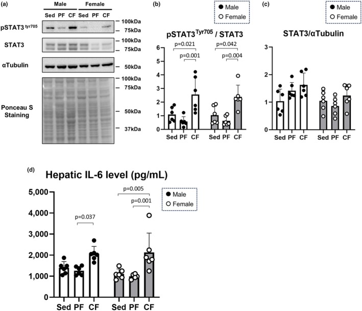 FIGURE 4
