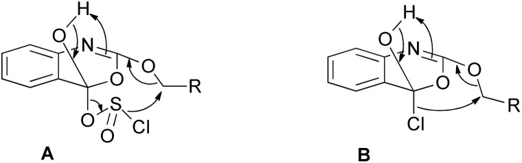 Scheme 6