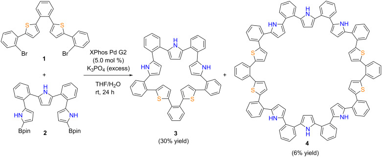 Scheme 1