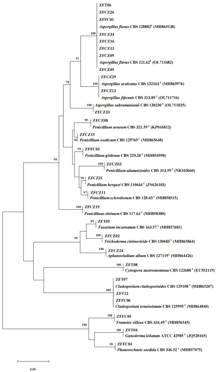 Figure 4