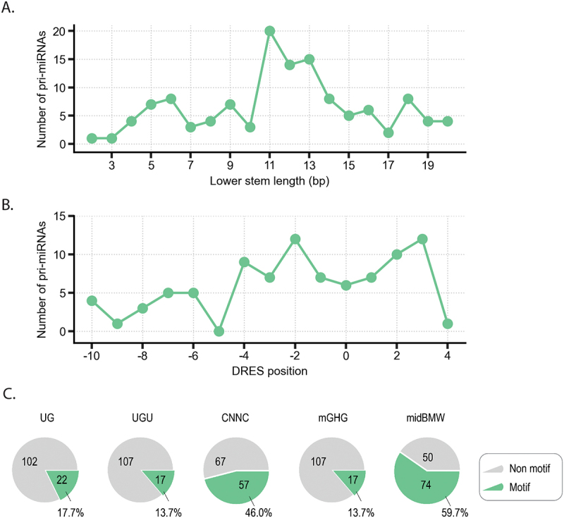 Figure 13