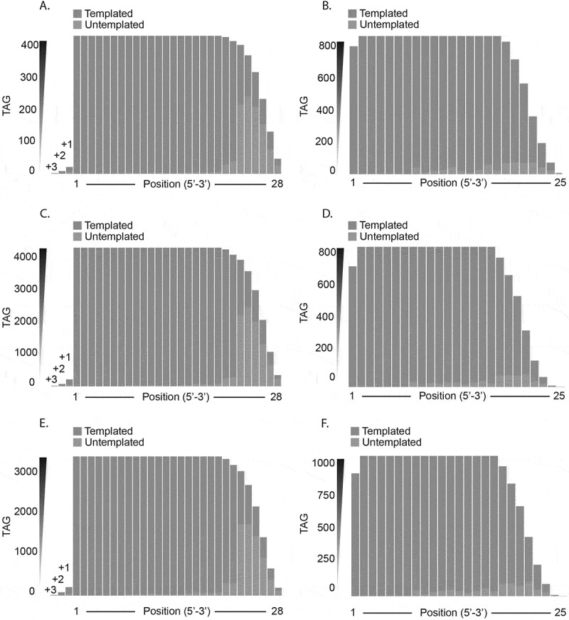 Figure 16