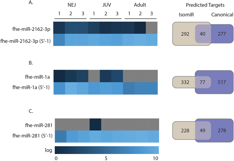 Figure 19