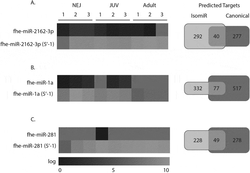 Figure 20
