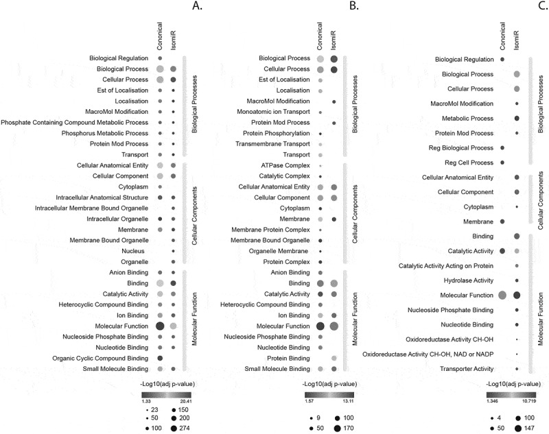 Figure 22