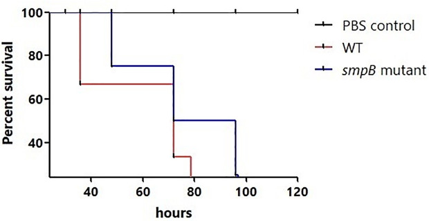 Fig 4