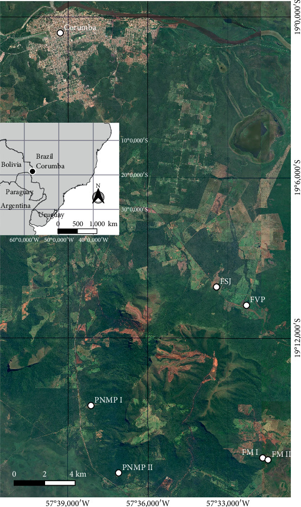 Figure 2