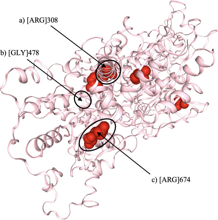 Figure 1