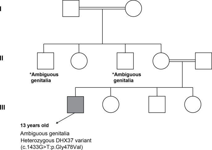 Figure 5