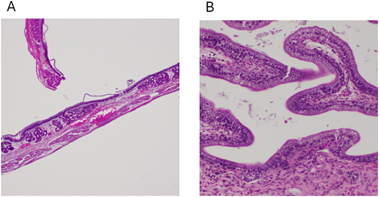 Figure 3