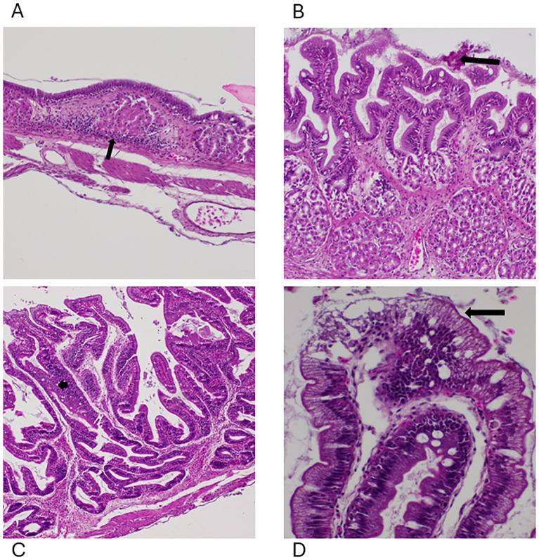 Figure 4