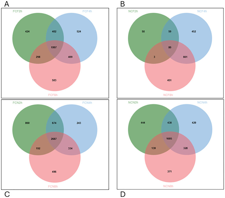 Figure 5