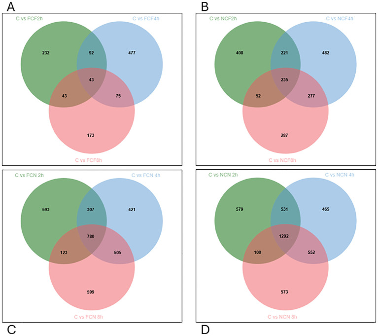 Figure 6