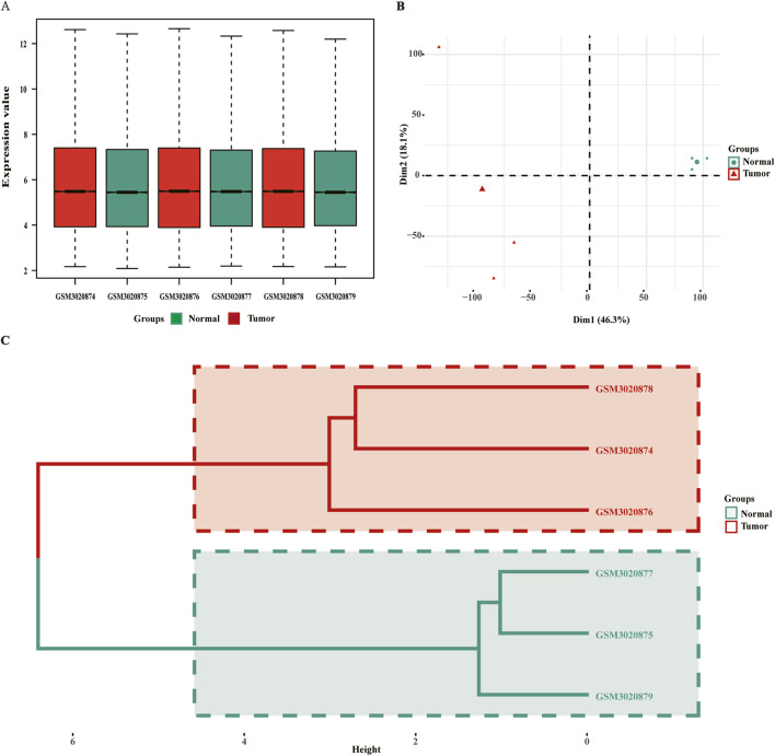 FIGURE 1