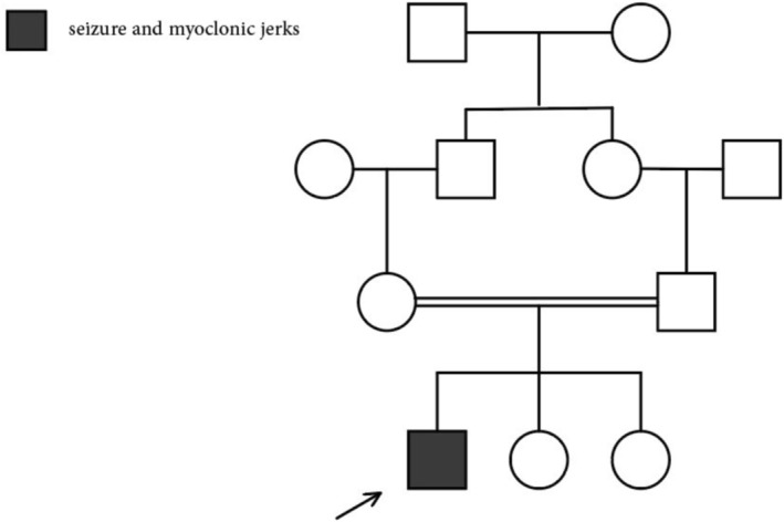 FIGURE 1