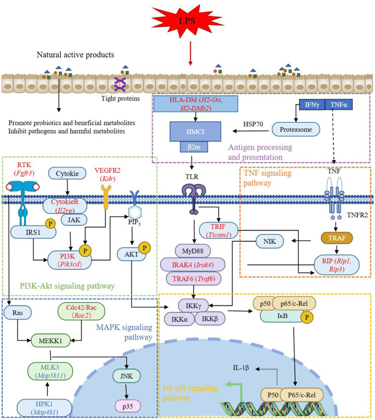 Figure 10