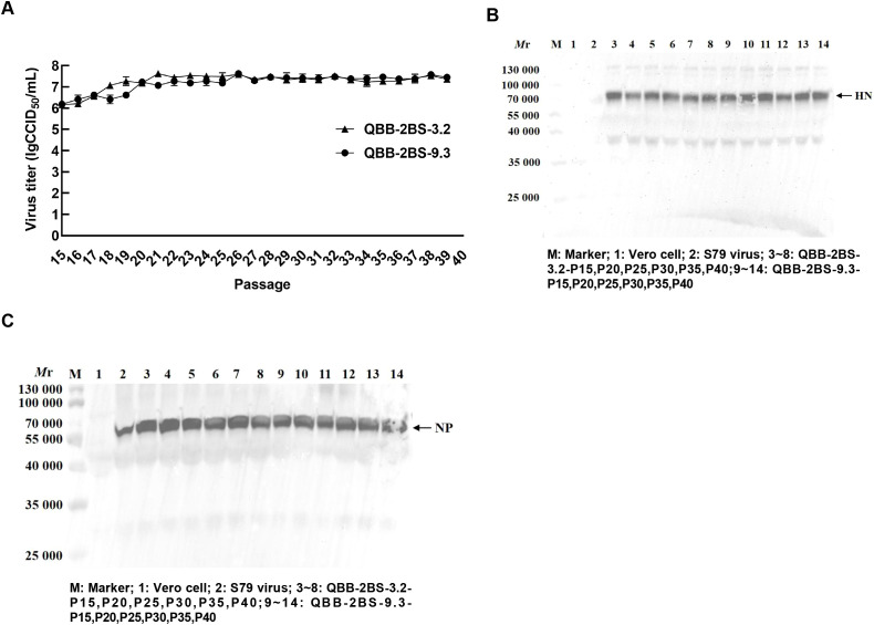 Figure 4