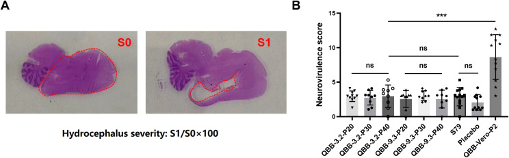 Figure 5